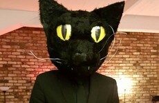 A man dressed up as his cat for Halloween and its reaction was perfect