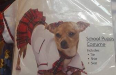 Just 17 of the funniest tweets about Halloween