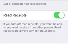 Nobody on the internet can agree how 'read receipts' should be pronounced
