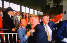 This Irish horse owner's ecstatic reaction to coming second in the Melbourne Cup is wonderful
