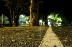 Man who raped woman and left her injured in laneway is jailed for 13 years
