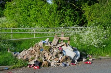 Night vision CCTV to monitor illegal dumping hotspots in Wicklow mountains