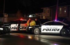 Suspect in custody over fatal shooting of police officers in ambush attack in the US