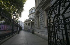 The National Museum has 'no spare space for vagrant Senators' (according to An Taisce)