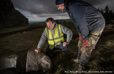 Major megalithic art find at Hellfire Club passage tomb