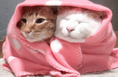 17 struggles you'll only appreciate if you're always fecking cold