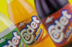 17 things Irish kids definitely wanted to be when they grew up