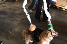 Here's what's going viral right now: Friday