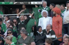 These three lads dressed as the Irish flag were the real stars of last night's match