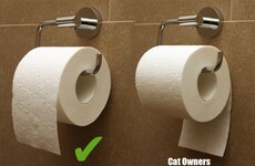 Here's what's going viral right now: Monday