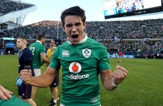 Carbery a picture of calm on his dream Ireland debut against the All Blacks