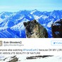 It seemed like everyone in Ireland was glued to the brilliant Planet Earth II last night
