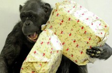 The 12 burning questions* of Xmas: When do you open your presents?