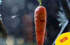 Aldi's Christmas ad is here and it's making people feel guilty about eating carrots