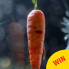 Aldi's Christmas ad is here and it's making people feel guilty about eating carrots