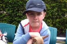 A little Tallaght boy with autism has made a heartfelt appeal for his lost dog