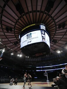 Letter from New York: UFC's Madison Square Garden debut trumped by US election
