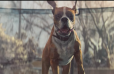 The John Lewis ad is the pick-me-up you need today