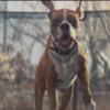 The John Lewis ad is the pick-me-up you need today