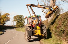 Environmentalists cut "deep wounds" in government's bill on hedge-cutting extension