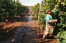 Here's why controlling immigration in America isn't all that easy