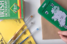 Growing Up Irish... in 60 Seconds