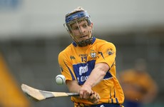Clare's Podge Collins will focus solely on inter-county hurling in 2017