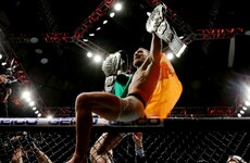 From UFC to WWE? Triple H opens door to McGregor appearance