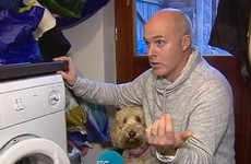 Hero dog helps to save five-year-old trapped in tumble dryer