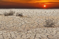 Eamon Ryan: 'Trump won’t have it all his own way on climate change'