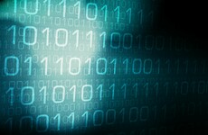 Just 29 gardaí tasked with tackling cybercrime despite surge in internet attacks