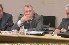Tense talks between Russian ambassador and Fine Gael TD: 'You walked into Crimea and took it over'