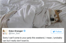 Just 15 tweets that will speak to anyone who hates going out