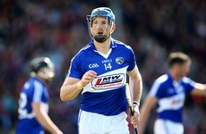 One of Laois' best-known hurlers retires from inter-county game at just 28
