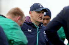 Second win over the All Blacks would lift Ireland to thrilling heights
