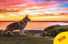 These spectacular photos were just named the best Irish Instagrams of the year