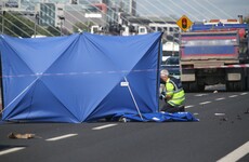 Almost one in five road death victims in 2013 tested positive for illegal drugs