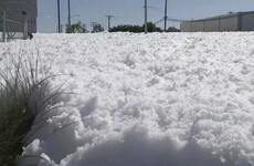 Misfiring alarm drowns entire Californian airport in several feet of foam