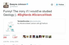 The Rock shared this Irish illustrator's witty cartoon about him on Twitter yesterday