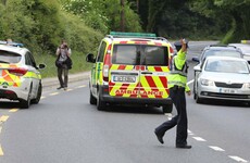 Two men arrested in connection with Tallaght murder in June