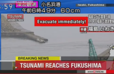 'Evacuate immediately': Tsunami warning after magnitude 7.3 earthquake hits off Fukushima