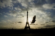 The US State Department has issued a terror travel alert for Europe