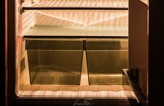 'She moved food around the fridge so it looked full': One Irish mother's story
