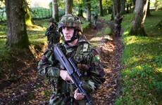 Poll: Should neutrality be enshrined in the Irish Constitution?