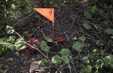 Anonymous tip leads Mexico police to 32 bodies and 4 human heads in mass graves