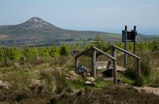 Wicklow Way could "disintegrate" if €40k in damages awarded to walker