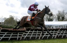 Apple's Jade beaten in photo finish while Cheltenham favourite Thistlecrack wins again