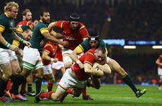 Dan Lydiate injury sours dominant Wales win over South Africa
