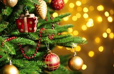 Poll: When's the right time to put up your Christmas tree?
