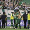 Who are Chapecoense, the Brazilian team whose fairytale season turned into a tragedy?